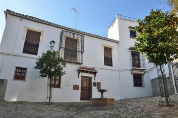 Fountain in stone plaza  in Granada, Andalusia, Spain