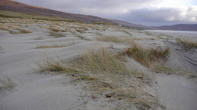 D&uuml;nenlandschaft Strand Luskentyre, Harris, Western Isles, Schottland