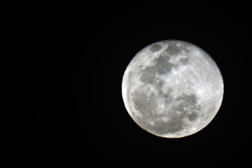 Fototapeta premium luna