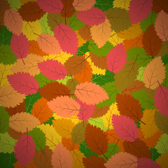 Background with autumn leaves