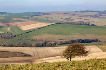 Fototapeta na wymiar Looking out over the South Downs in Sussex on a sunny winters day