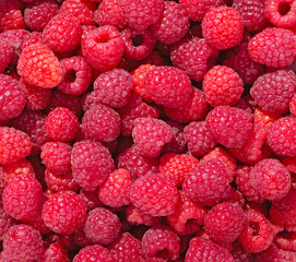 Raspberries background. Fresh ripe and sweet Raspberry.