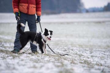 Man with border collie dog