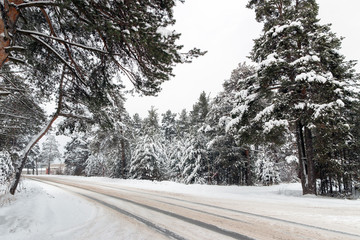 Winter road among snowy pines and firs