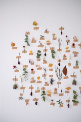 Blumenstengel und Blüten mit masking tape an die Wand geklebt