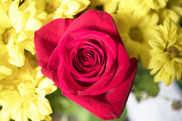 Bouquet of roses flowers