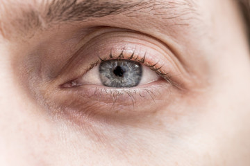 gray eye of the guy looking into the lens