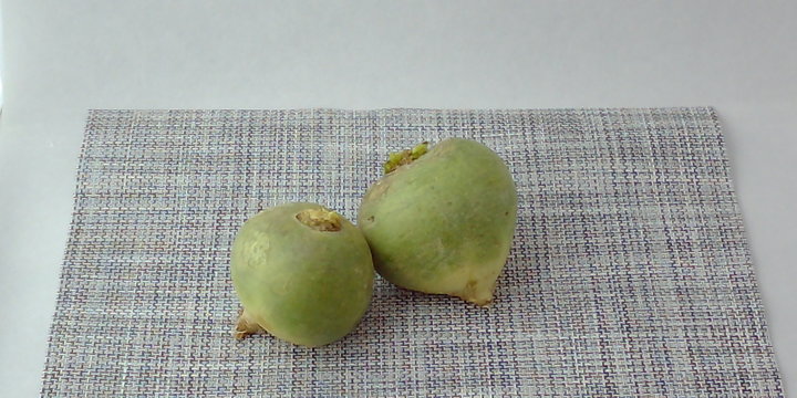  fresh green margilan radish