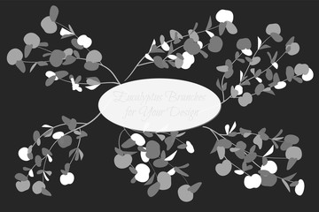 Rustic Decorative Plants Collection. Hand Drawn Eucalyptus Leaves Isolated. Vector EPS10 Illustration. Botanical Elements. Exotic Tropical Foliage and Flowers. Decorative Plants Set for Wedding Design