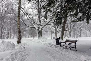 Winter in park