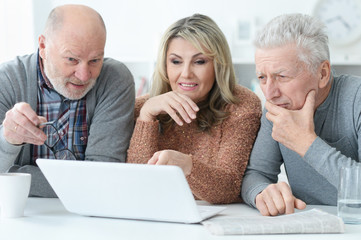  senior people  sitting at table and looking at laptop