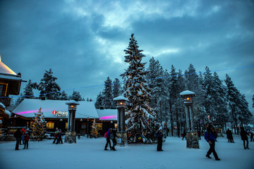 The Life at the arctic © sami