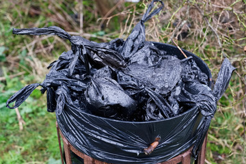 Dog poo black bags in bin at countryside park