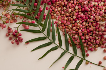 Pink pepper peas
