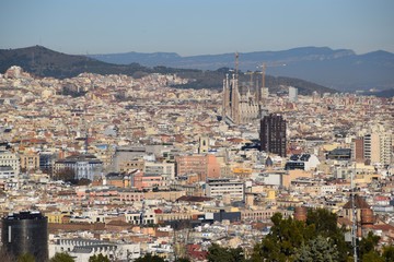 Fototapeta na wymiar Veduta di Barcellona dalla collina