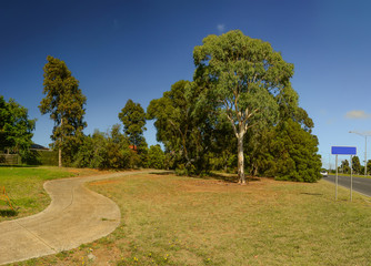 Sunny summer day in Hallam, Australia.