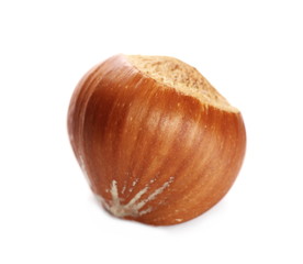 Hazelnut isolated on white, macro 