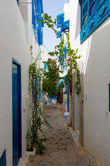 Fototapeta na wymiar White and blue town Sidi Bou Said, Tunisia, Africa