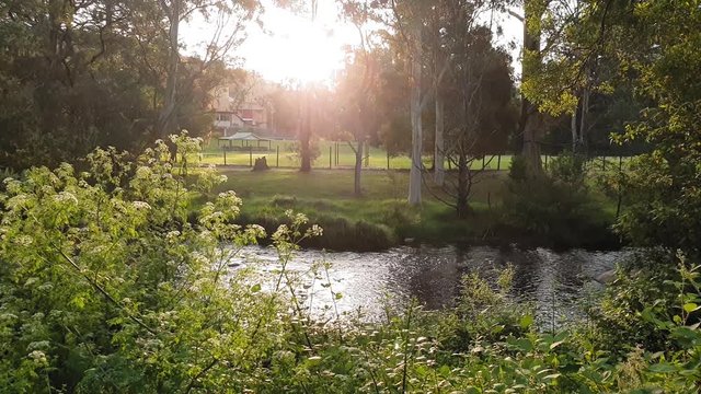 A stationary view of a wide calm river. Heavily flowered vegetation lines the camera's bank, whilst the opposite bank is covered in maintained lawn. The sun setting behind the mountainous horizon.