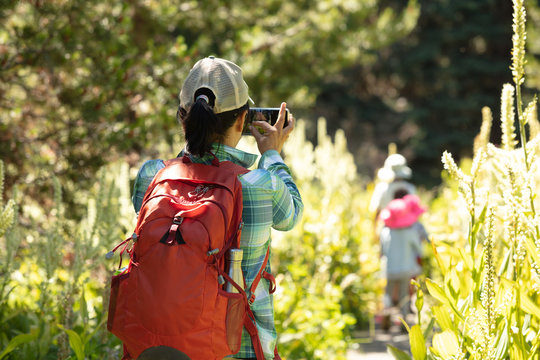 hiker female taking pictures