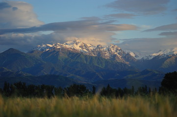 Mountains of Kazakhstan in summer. Horizontal, landscape, scenery.