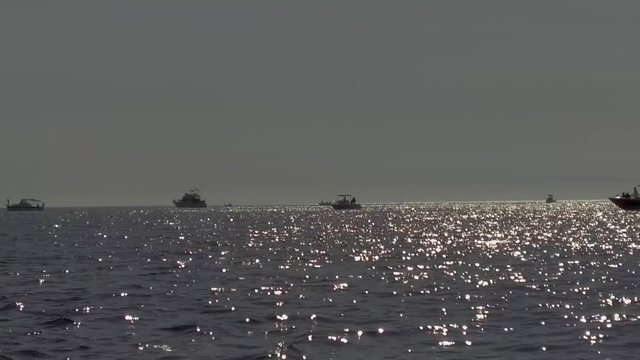 Slow motion gimbaled shot of a group of boats fishing in the Sea of Cortez during late afternoon.