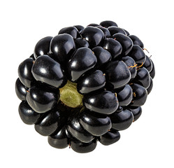 Fresh blackberry isolated on white background with clipping path