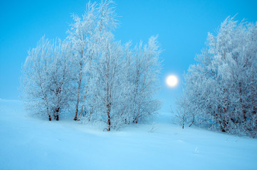 beautiful winter landscapes in the valleys