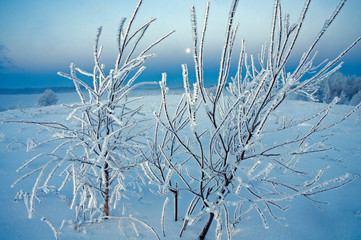 beautiful winter landscapes in the valleys