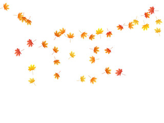 Maple leaves vector background, autumn foliage on white graphic design.