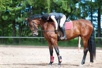 Young lady riding a horse at equestrian school. Training process