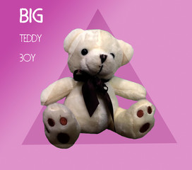 big teddy boy