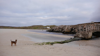 Fototapeta na wymiar Am Strand von Uig, Isle of Harris & Lewis, outer hebrides, Schottland