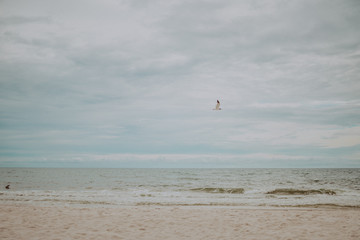 Ocean