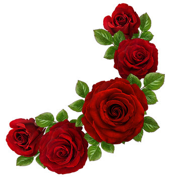 Roses Art Design . Frame made roses, green leaves Valentine's background with roses. Valentines day card concept.