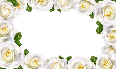 Obraz na płótnie Canvas white rose isolated on white