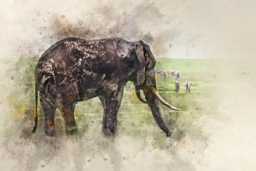 African elephant in savannah of Ngorongoro crater