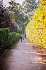 Obraz premium a woman with a handbag on the path in park