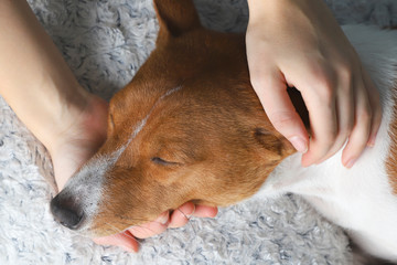 A girl holding a dog's head.