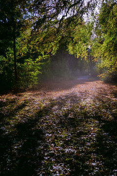 Lydiard Park