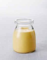 Fresh milk eggs pudding