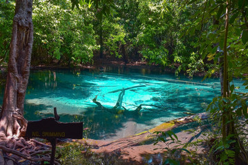 Emerald pool, one of the most popular holiday destination. Krabi province, Thailand