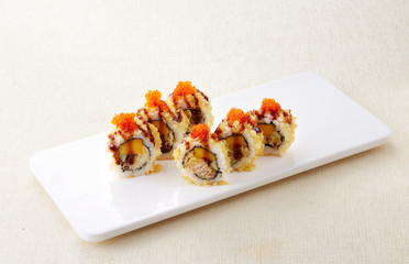 Delicious Japanese food, sushi combo