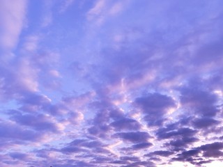 冬の朝焼け　鱗雲　鰯雲