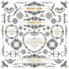 Set of Vintage Decorations Elements.