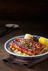 Delicious Japanese food, eel rice