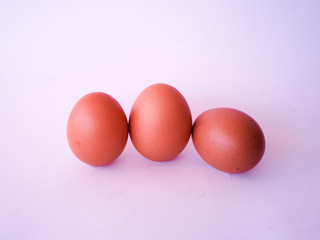 Egg on a white background