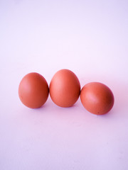 Egg on a white background