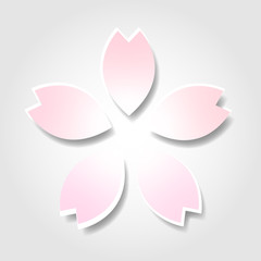 桜　春　花　アイコン