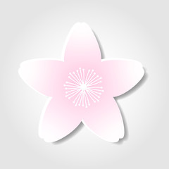 桜　春　花　アイコン